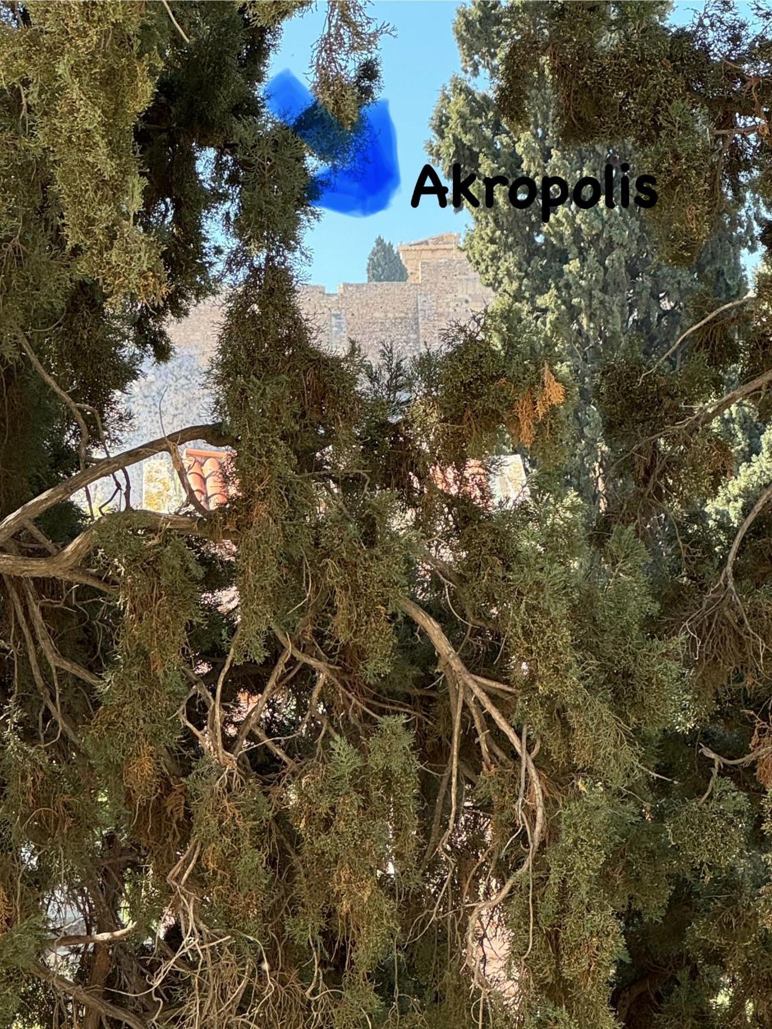 Ferienwohnung Plaka K15 Athen Exterior foto